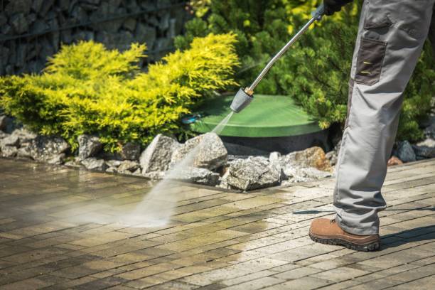 Boat and Dock Cleaning in Covington, GA