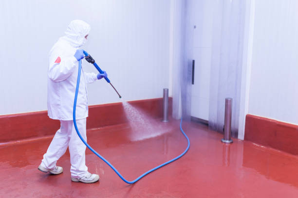 Trusted Covington, GA Pressure Washing Services Experts